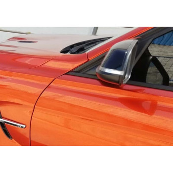 Capace oglinda compatibile cu BMW seria 2 F20 2011-2019, seria 3 F30 12-18, seria 4 F32, X1 E84 ATA2669